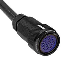 Load image into Gallery viewer, SAMP-16x8x50 - 16 Channel, 50 Foot XLR Snake Cable with Easy Disconnect Trunk