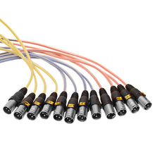 Load image into Gallery viewer, SAMP-12x4x50 - 12 Channel, 50 Foot XLR Snake Cable with Easy Disconnect Trunk