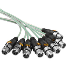 Load image into Gallery viewer, SAMP-16x8x100 - 16 Channel, 100 Foot XLR Snake Cable with Easy Disconnect Trunk
