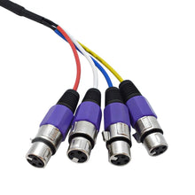 Load image into Gallery viewer, SASN4P - 4 Channel 2 Foot Balanced XLR Snake Cable - Purple Cable Shell