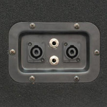 Load image into Gallery viewer, Pair of 12" Floor Monitors, Amplifier, and Cables (Add On)