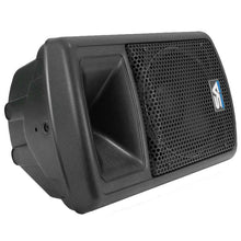 Load image into Gallery viewer, NPS-10 - 10" PA DJ Molded Speaker