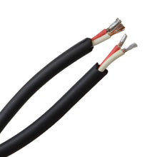 Load image into Gallery viewer, RW100 - Two Raw Wire Speaker Cable 100'
