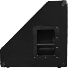 Load image into Gallery viewer, 15" Floor Monitor with Titanium Horns