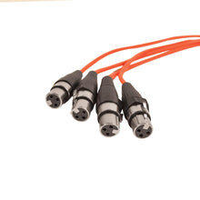 Load image into Gallery viewer, SACB-16x4x25 - 16 Channel XLR Low Profile Snake Cable - 25 Feet