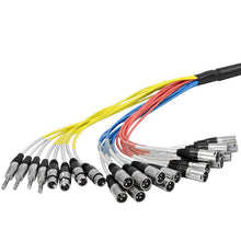 Load image into Gallery viewer, SALS-16x8x100 - 16 Channel 100' Snake Cable (XLR & TRS Returns)