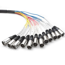 Load image into Gallery viewer, SARLX-12x10 - 12 Channel XLR Colored Snake Cable 10'