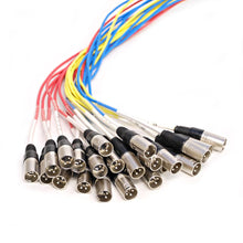 Load image into Gallery viewer, SARMSS-24x1530 - 24 Channel XLR TRS Combo Splitter Snake Cable - 15' and 30' XLR trunk