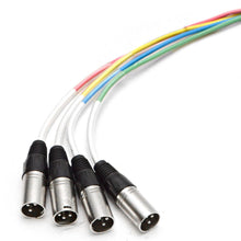 Load image into Gallery viewer, 4 Channel XLR Send Sub Snake - 20'