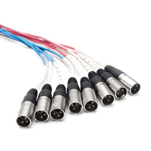 Load image into Gallery viewer, 8 Channel XLR Send Sub Snake - 35'