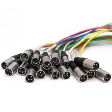 Load image into Gallery viewer, SASPS-16x4x100 - 16 Channel Powered Snake w/Speakon 100'
