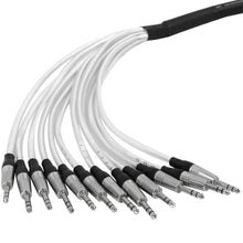 Load image into Gallery viewer, SAST-12-24-10 - 12 Channel Insert Snake 12 TRS to 24 TS 10 Feet