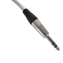 Load image into Gallery viewer, SATXSW-4x10 - 10 Foot Send and Return Snake Cable - 4 TRS to 2 XLR Male and 2 XLR Female