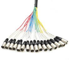 Load image into Gallery viewer, SAXT-16x20M - 16 Channel 20' TRS to XLR Male