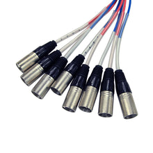 Load image into Gallery viewer, SAXT-8x10M - 8 Channel 10' TRS to XLR Male