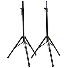 Load image into Gallery viewer, Pair of Premium 12" Full Range / Bi-Amp 2-Way Loudspeaker Cabinets with Speaker Stands