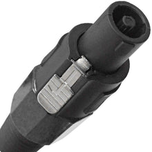 Load image into Gallery viewer, TW12S10- Two Blue Speakon to Speakon Speaker Cables 10'