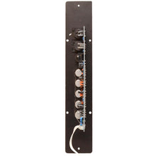 Load image into Gallery viewer, SA-APF001 - Class AB 200 Watt Plate Amplifier with 3 Band EQ for PA/DJ Full Range Speaker Cabinets
