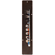 Load image into Gallery viewer, SA-APF051 - Class AB 250 Watt Plate Amplifier with 3 Band EQ for PA/DJ Full Range Speaker Cabinets
