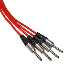 Load image into Gallery viewer, SAJLP-16x4x100 - 16 Channel 100 Foot XLR Low Profile Snake Cable with 4 TRS Returns
