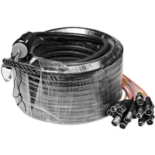 Load image into Gallery viewer, SAMP-12x4x100 - 12 Channel, 100 Foot XLR Snake Cable with Easy Disconnect Trunk

