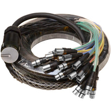 Load image into Gallery viewer, SAMP-16x8x50 - 16 Channel, 50 Foot XLR Snake Cable with Easy Disconnect Trunk
