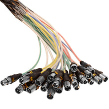 Load image into Gallery viewer, SAMP-16x8x50 - 16 Channel, 50 Foot XLR Snake Cable with Easy Disconnect Trunk
