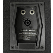 Load image into Gallery viewer, FL-10MP - Premium 10" PA Floor Monitors with Titanium Horns
