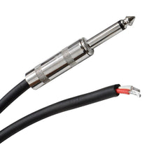 Load image into Gallery viewer, QRW35 - 2 Pack Raw Wire to 1/4"  Speaker Cable 35'
