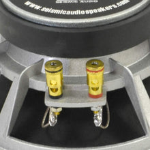 Load image into Gallery viewer, Richter-8 - (Pair) 8" Raw Speakers/Woofers 175 W RMS
