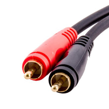 Load image into Gallery viewer, SA-LRQRCA6 - 6 Foot Dual 1/4 Inch TS Male to Dual RCA Male Audio Cable
