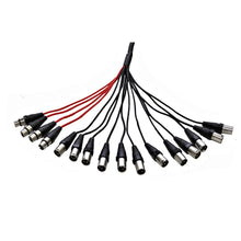 Load image into Gallery viewer, SACB-12x4x100 - 12 Channel XLR Low Profile Snake Cable - 100 Feet
