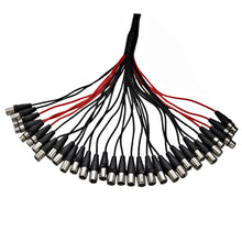 Load image into Gallery viewer, SACB-24x8x100 - 24 Channel XLR Low Profile Snake Cable - 100 Feet
