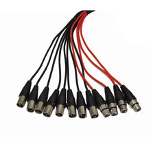 Load image into Gallery viewer, SACB-8x4x25 - 8 Channel XLR Low Profile Snake Cable - 25 Feet
