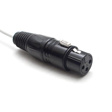 Load image into Gallery viewer, SA-DB8XF3 - DB25 to 8 Channel XLR Female 3 Feet
