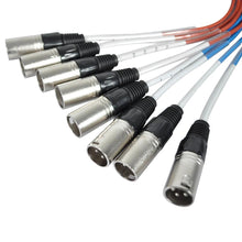 Load image into Gallery viewer, SADROP-8x30 - 8 Channel Drop Snake Cable - 30 Foot
