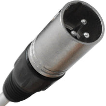 Load image into Gallery viewer, SAXQ-24x8x100 - 24 Channel 100' Snake Cable (XLR &amp; TRS)
