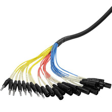 Load image into Gallery viewer, SAJT-16x8x100 - 16 Channel XLR 100' Snake Cable (TRS Returns)
