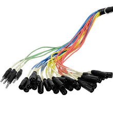 Load image into Gallery viewer, SAJT-24x4x100 - 24 Channel XLR 100' Snake Cable (TRS Returns)
