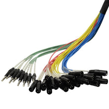 Load image into Gallery viewer, SAJT-24x8x150 - 24 Channel XLR 150' Snake Cable (TRS Returns)
