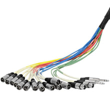 Load image into Gallery viewer, SALS-12x4x100 - 12 Channel 100' Snake Cable (XLR &amp; TRS Returns)
