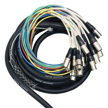 Load image into Gallery viewer, SALS-12x4x25 - 12 Channel 25' Snake Cable (XLR &amp; TRS Returns)
