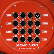 Load image into Gallery viewer, SAOR-12x4x100 - 12 Channel with 4 Returns Snake on a Reel 100'
