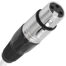 Load image into Gallery viewer, SARLX-16x100 - 16 Channel XLR Colored Snake Cable 100'
