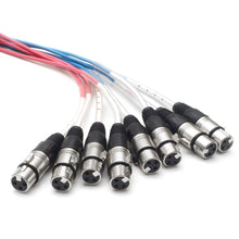 Load image into Gallery viewer, SARLX-8x50 - 8 Channel XLR Colored Snake Cable 50'
