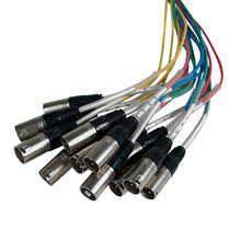 Load image into Gallery viewer, SARMSS-16x515 - 16 Channel XLR TRS Combo Splitter Snake Cable - 5' and 15' XLR trunks
