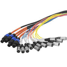 Load image into Gallery viewer, SASPS-12x4x50 - 12 Channel Powered Snake w/Speakon 50'
