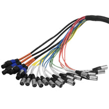 Load image into Gallery viewer, SASPS-16x4x75 - 16 Channel Powered Snake w/Speakon 75'
