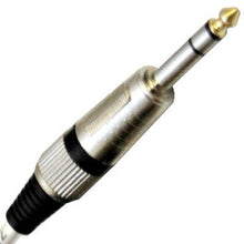 Load image into Gallery viewer, SASRT-24x10 - 24 Channel 1/4" TRS Snake Cable - 10 Feet
