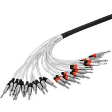 Load image into Gallery viewer, SAST-12-24-15 - 12 Channel Insert Snake 12 TRS to 24 TS 15 Feet
